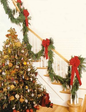 Fraser Fir Christmas Trees