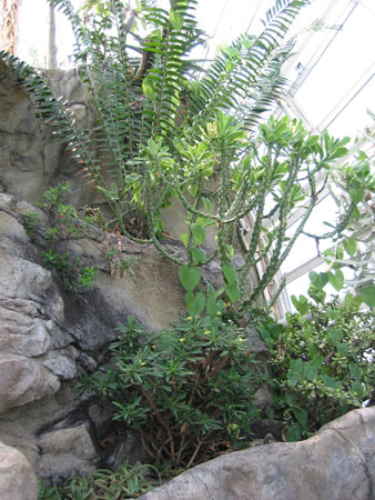 118-1857_IMG