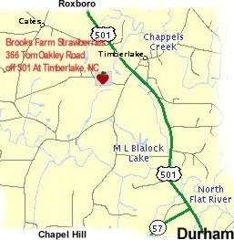 Map to PYO fields