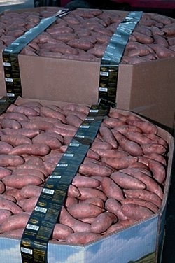 500 lb to 1000 lb corrugated containers