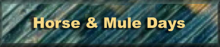 Horse and Mule Days - Denton NC