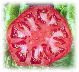 Photo of sliced Tomato
