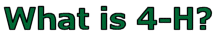 What is 4-H?