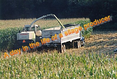 A day in the life of a silage producer