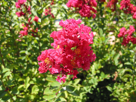 116-1698_IMG
