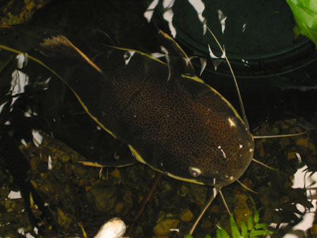 117-1712_IMG