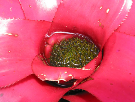 117-1715_IMG