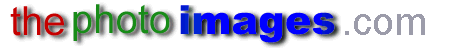 The Photo Images.Com